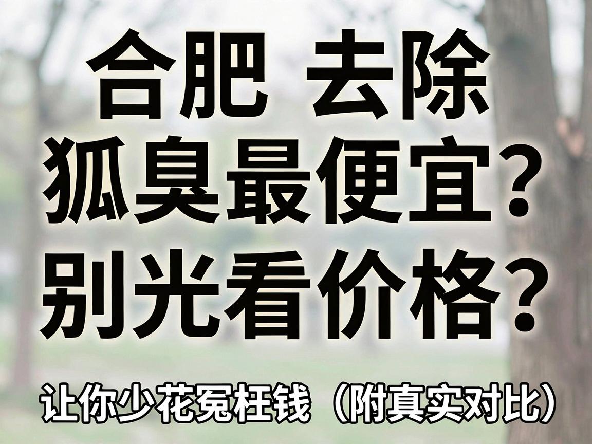 合肥去除狐臭最便宜？别光看价格，这3个因素让你少花冤枉钱（附真实对比）