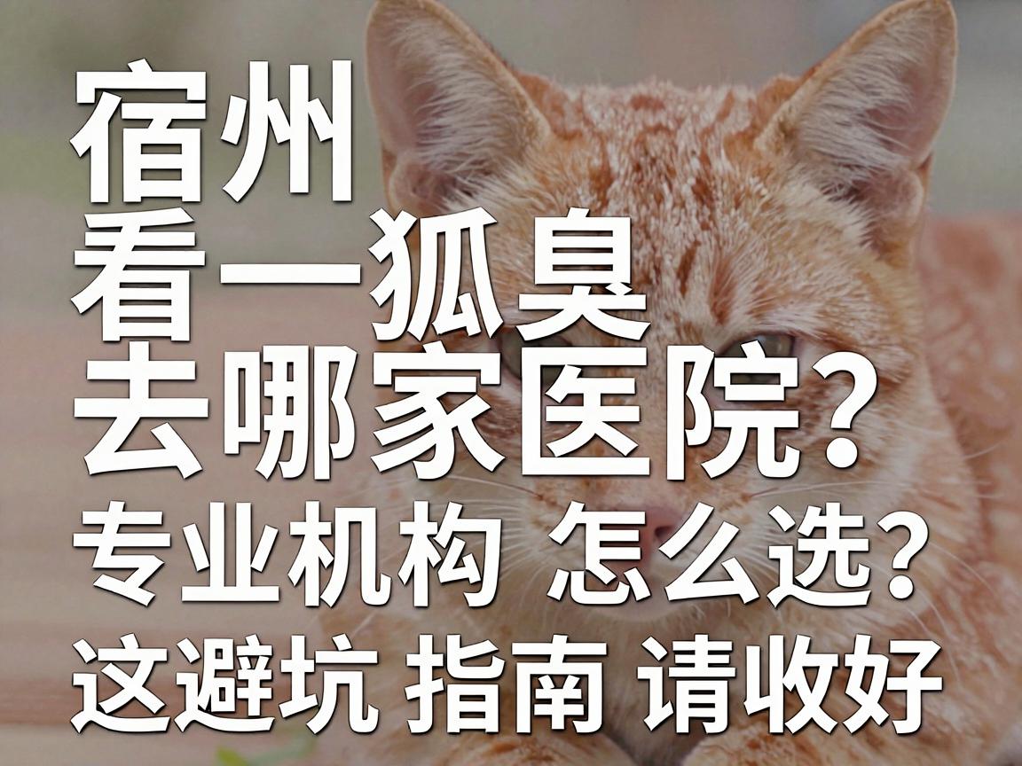宿州看狐臭去哪家医院？专业机构怎么选？这份避坑指南请收好