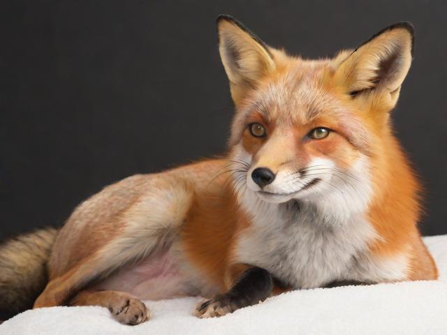 合肥治狐臭哪里好？深度解析合肥治狐臭的靠谱选择